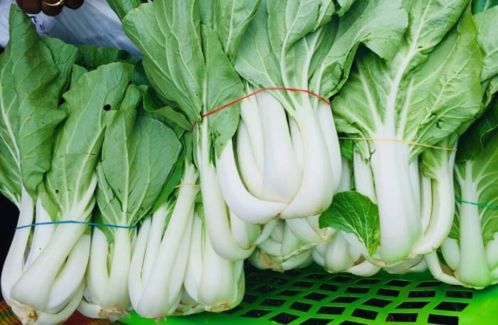 How to cook pak choi trinidad style